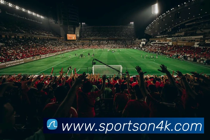 球赛投注服务体系